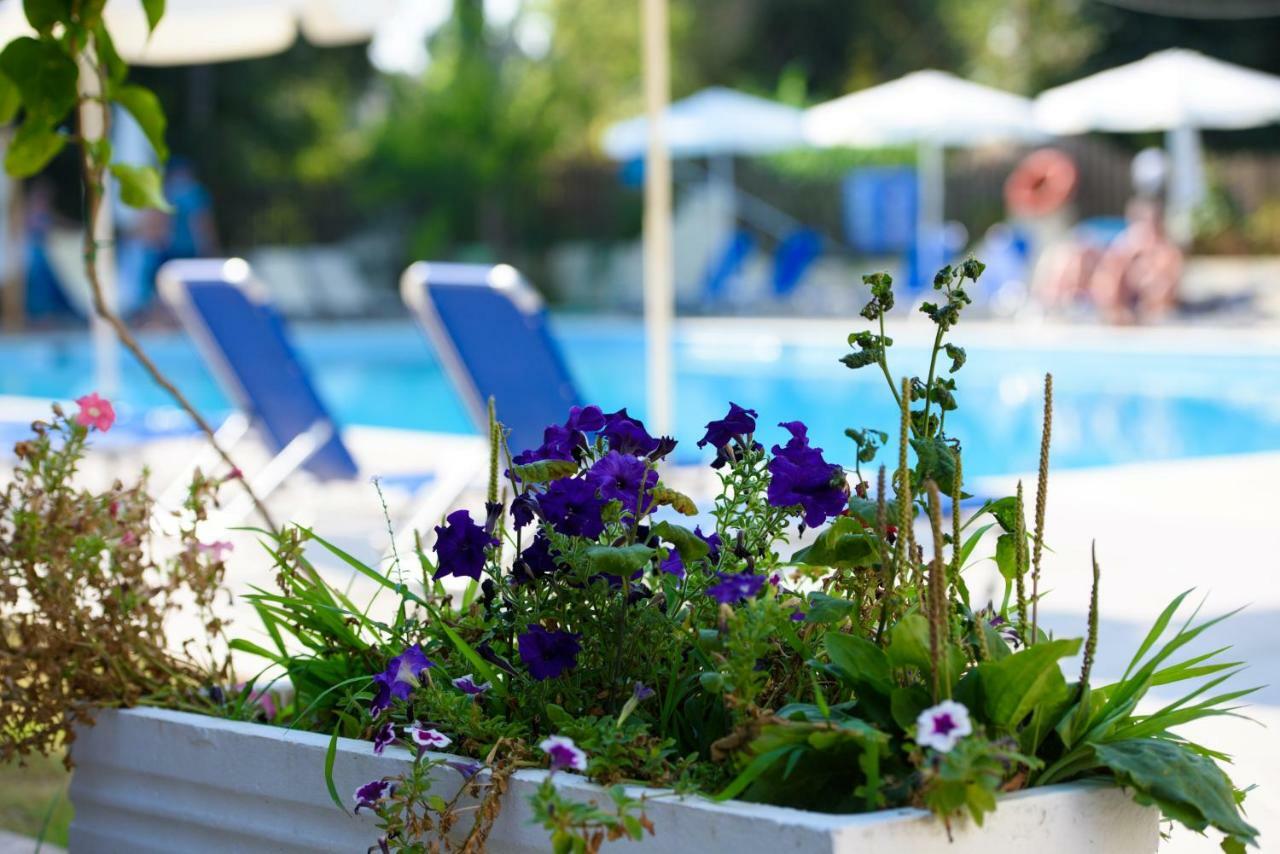 Amalia Hotel - Adults Only ذيسْخا المظهر الخارجي الصورة